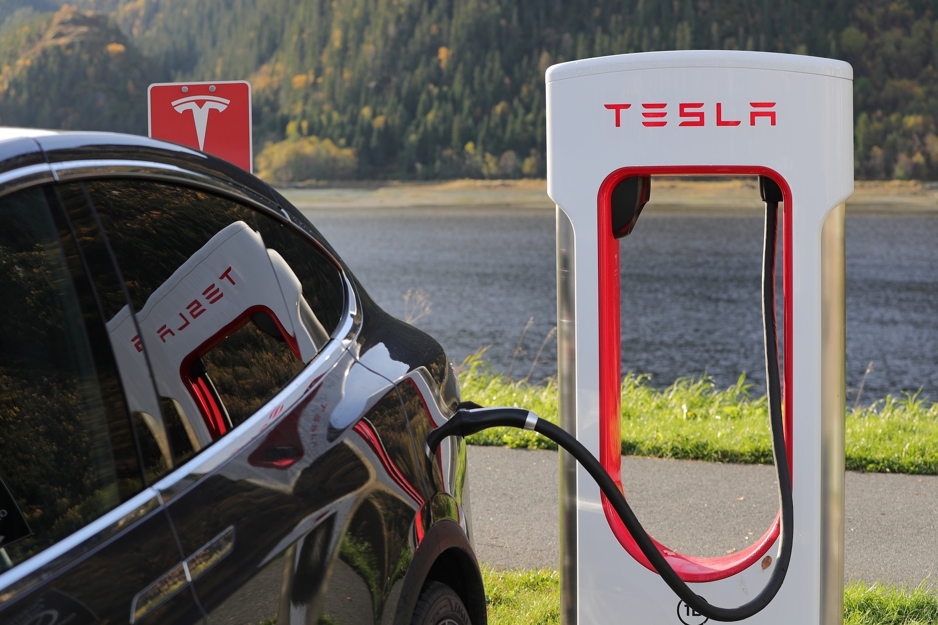 new energy car
